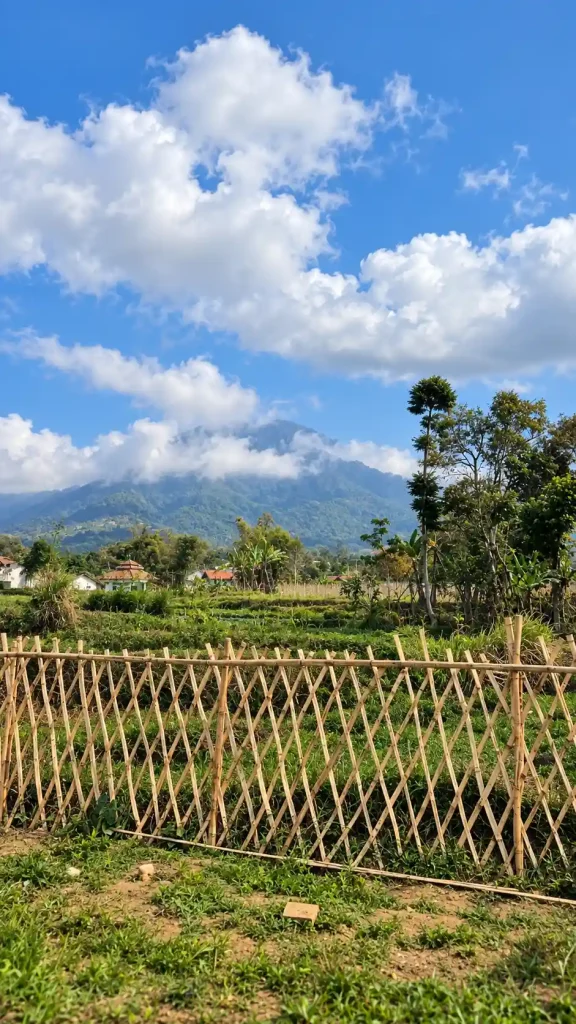Agricultural landscape around Ardara Lodge
